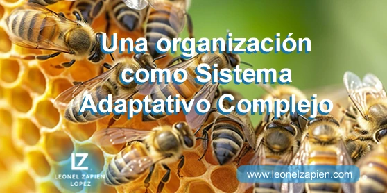 Una organización como Sistema Adaptativo Complejo